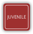 Juvenile